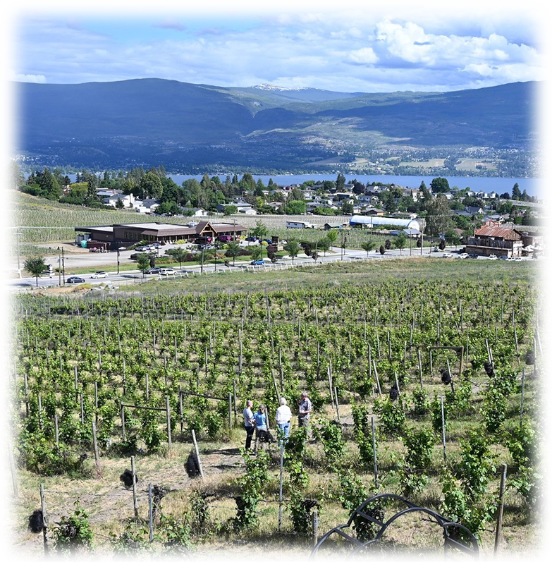 Dasilva Vineyards, winery, Penticton